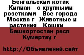 Бенгальский котик Килиан , с крупными розетками - Все города, Москва г. Животные и растения » Кошки   . Башкортостан респ.,Кумертау г.